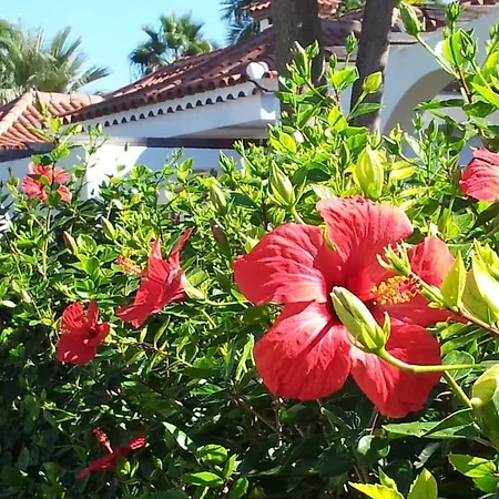 Bungalow The Eight Сasa de vacaciones